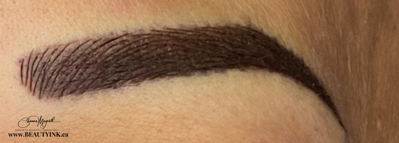 Hybrid Eyebrows
