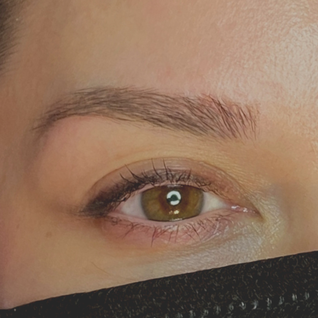 Eyebrows